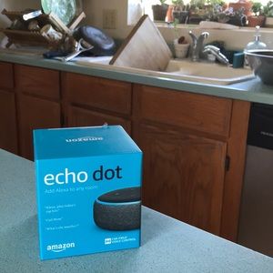 Alexa Echo dot voice command/control